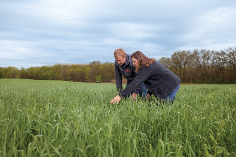 Mark and Jenny Litteken walk through cover crops
