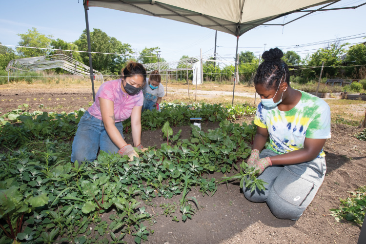 Two women weed the radish section at Eden Place