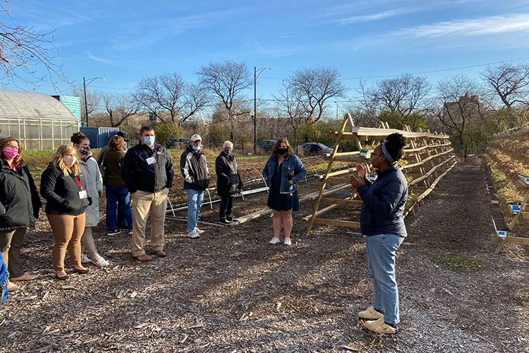 Herban Produce, an urban farm, guided tour