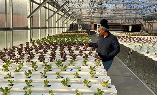 Herban Produce greenhouse