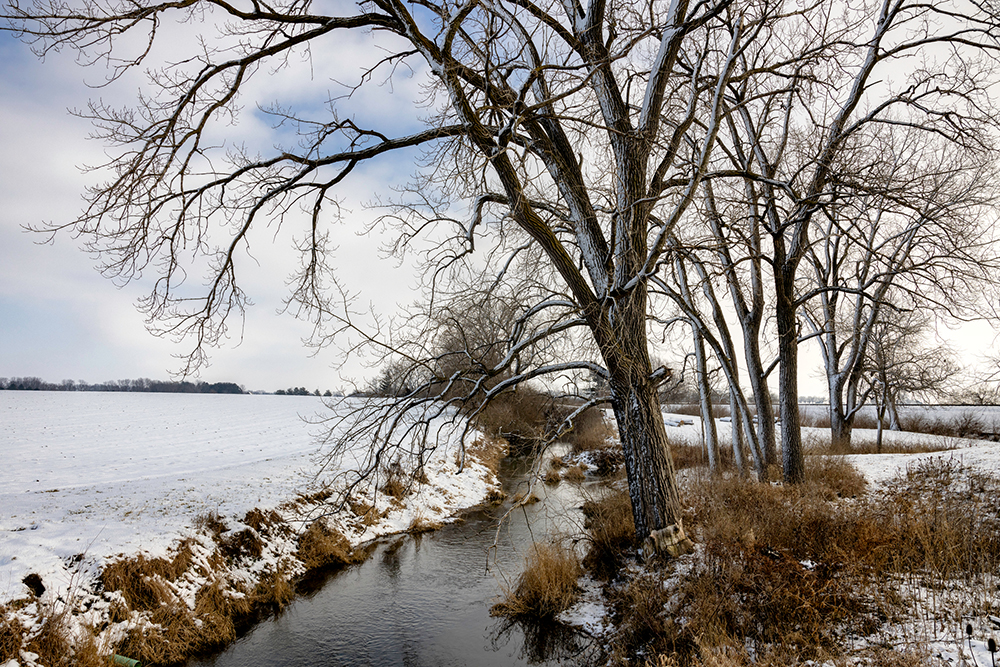 Creek with trees along the bank and a field covered in snow 