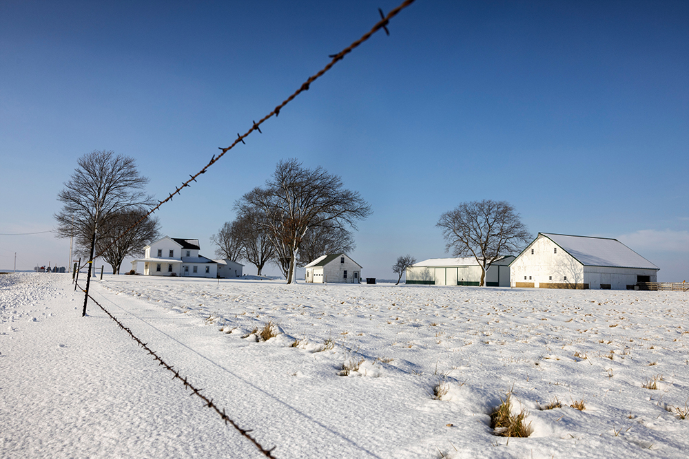 Snow covered scene with a white farmhouse and white barn 
