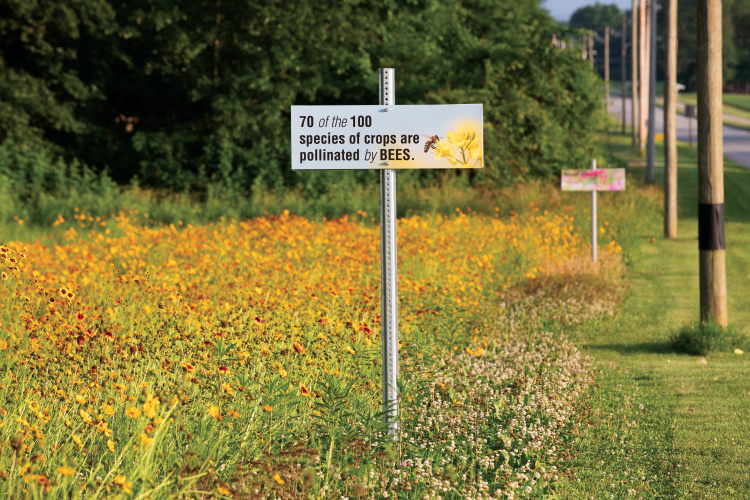 Signage at the Wabash Valley Collage pollinator garden