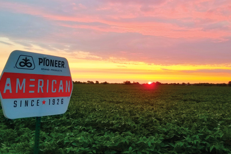 Pioneer seed dealer sign in Kestel Farms' field