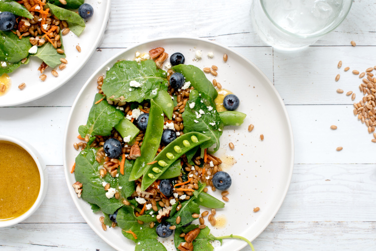 Blueberry-Kale Wheat Berry Salad celebrates