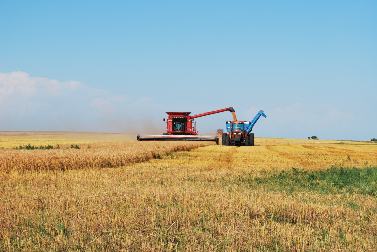 Harvesters unloading grain into a grain cart