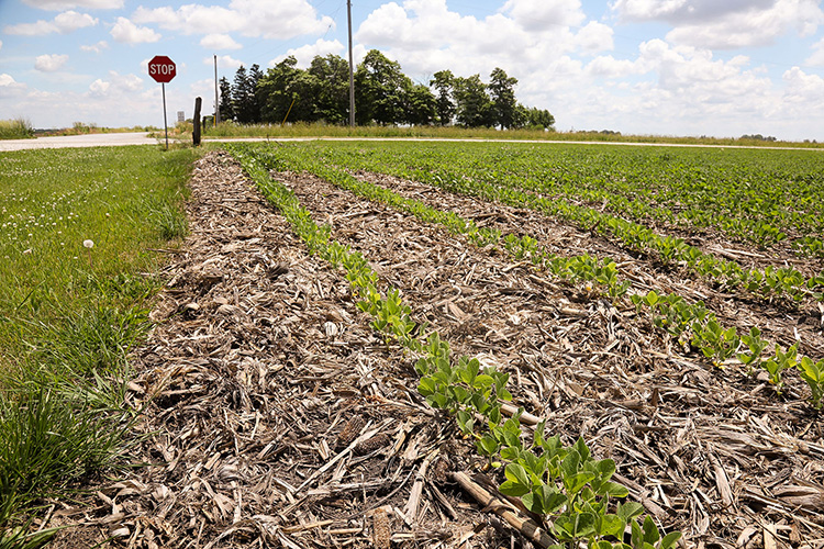 Rural road intersection