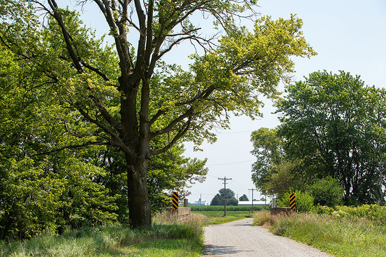 Winding gravel road