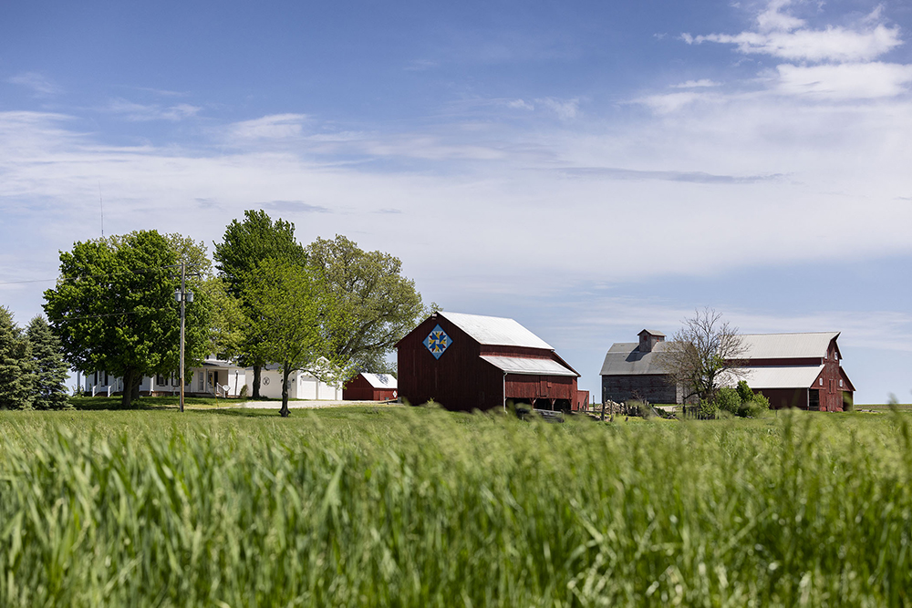 Red barn in the background