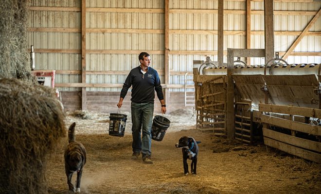 Jon griffel walks through barn carrying buckets with his farm dogs strolling beside him
