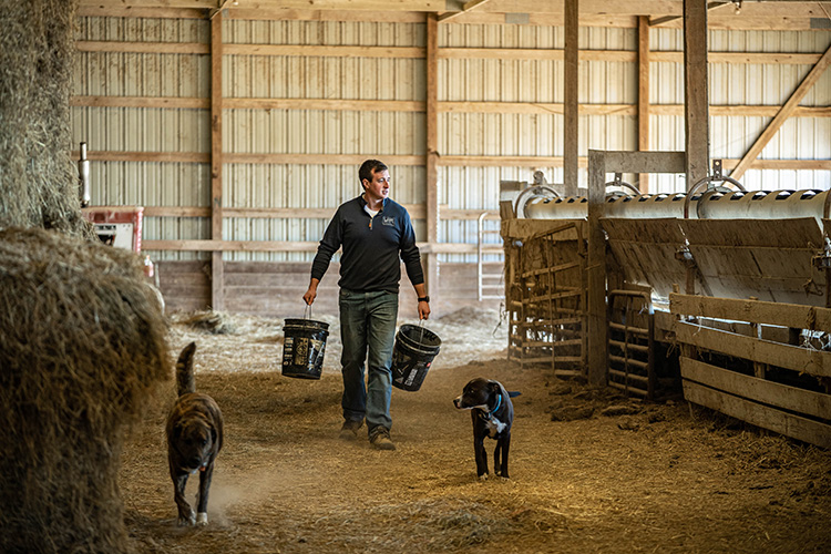 Jon griffel walks through barn carrying buckets with his farm dogs strolling beside him