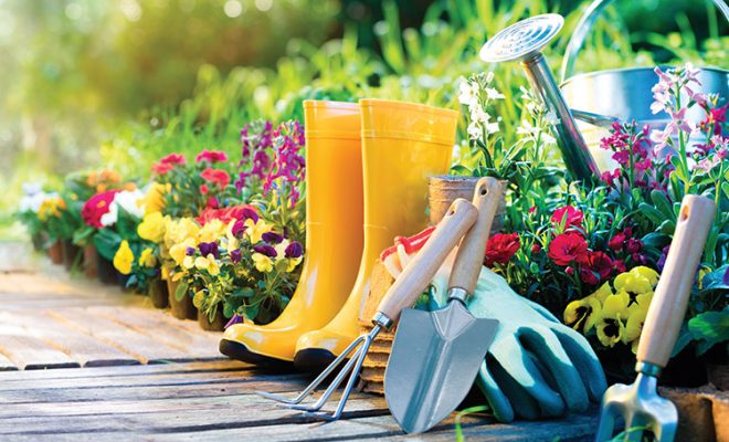 Helpful Garden Gadgets