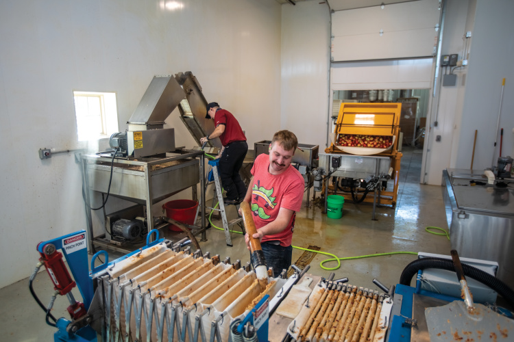 Mike Spychal feeds mashed apples into a pressing machine to make cider