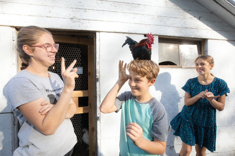 Chicken lands on a little boys head