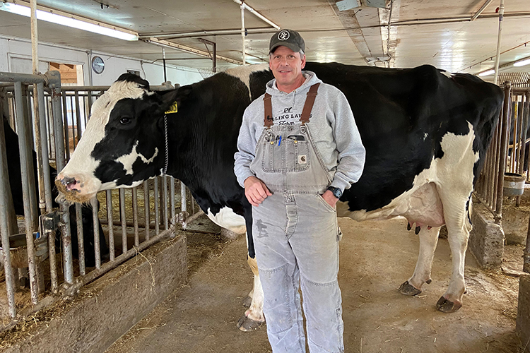 Rolling Lawns Farm Owner Michael Turley with one of his dairy cows