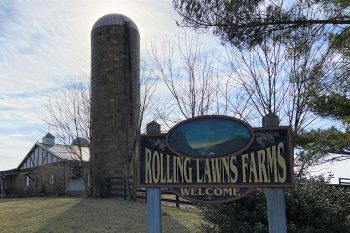 Rolling Lawns Farm sign