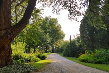 Arboretum in Illinois.