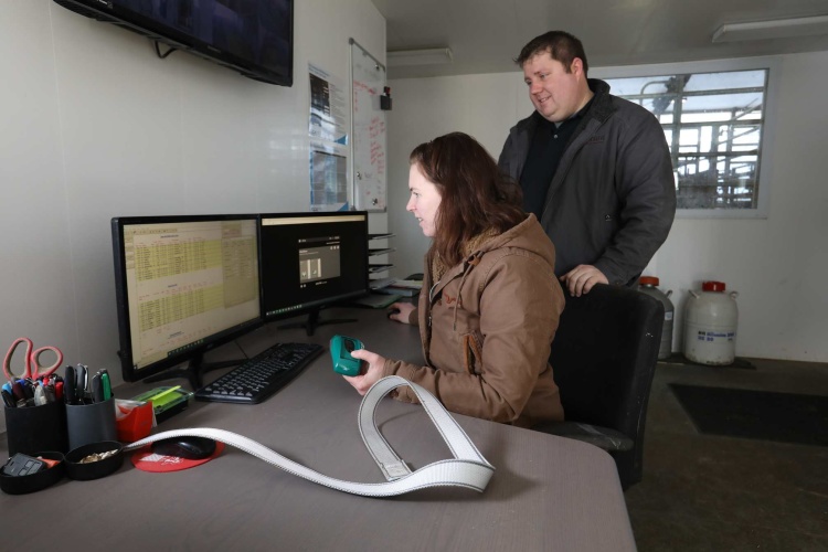 Sarah and Andy Lenkaitis prepare an activity monitor to be collared on a cow