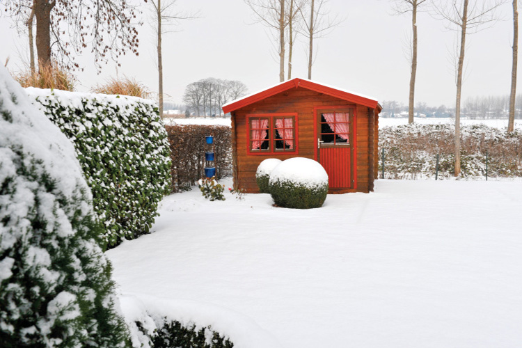 Garden shed and garden covered in snow