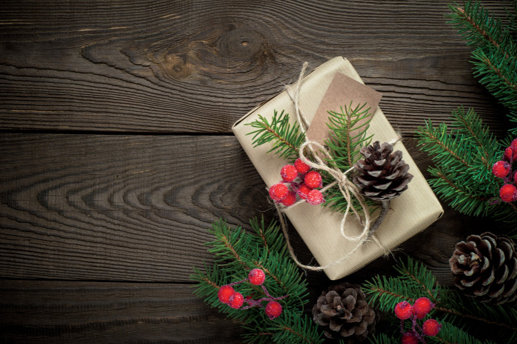 Wrapped Christmas gift