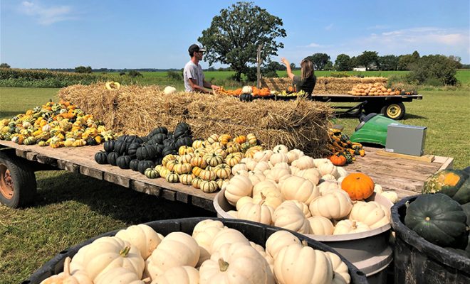 Find a Farm With Fun and More This Fall (VIDEO)