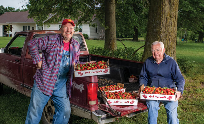Greg McLaughlin and Tim Piper at McLaughlin Strawberry Farm in Murphysboro.