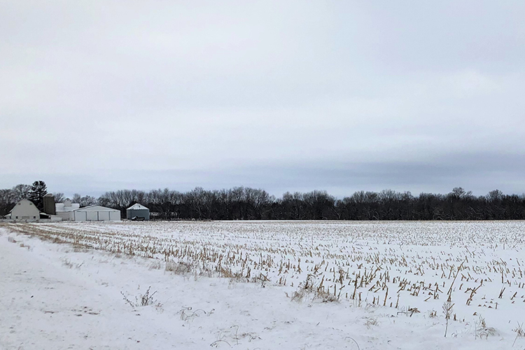 snowy farm