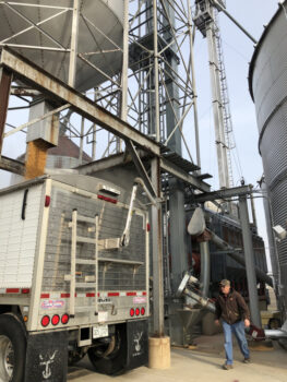 Illinois farmer Joe White loads corn into a tractor trailer to delivery it to Ingredion