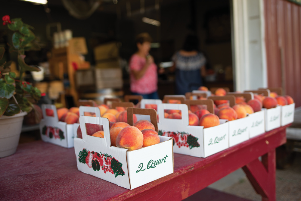 Peaches at a roadside stand in Calhoun County