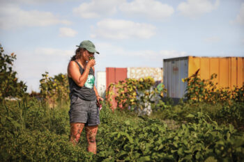 Green Era Campus worker tends to one of the gardens