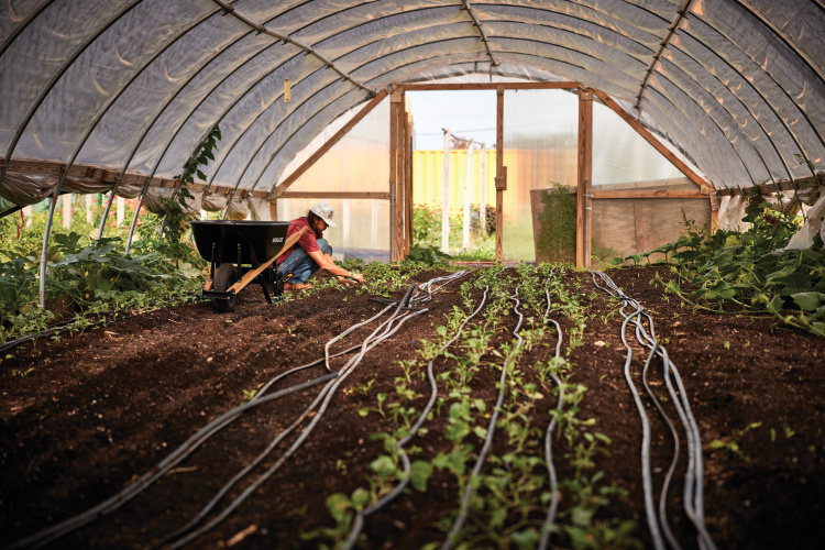 One of the educators works in the greenhouse at Green Era Campus