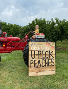 Little girl sitting on a tractor with a Flamm Orchard U-pick peaches sign