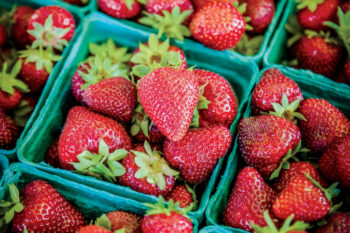 strawberries at farmers market