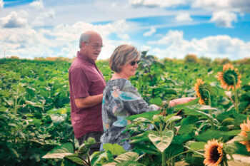 Visitors walk through the sunflower fields at Danndee Flowers, an Illinois flower farm
