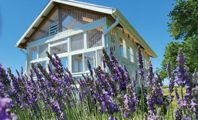 Exterior of the greenhouse at Tenderloin Farms with a lavender field surrounding it