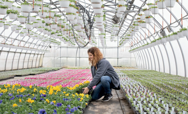 Illinois in the Spring