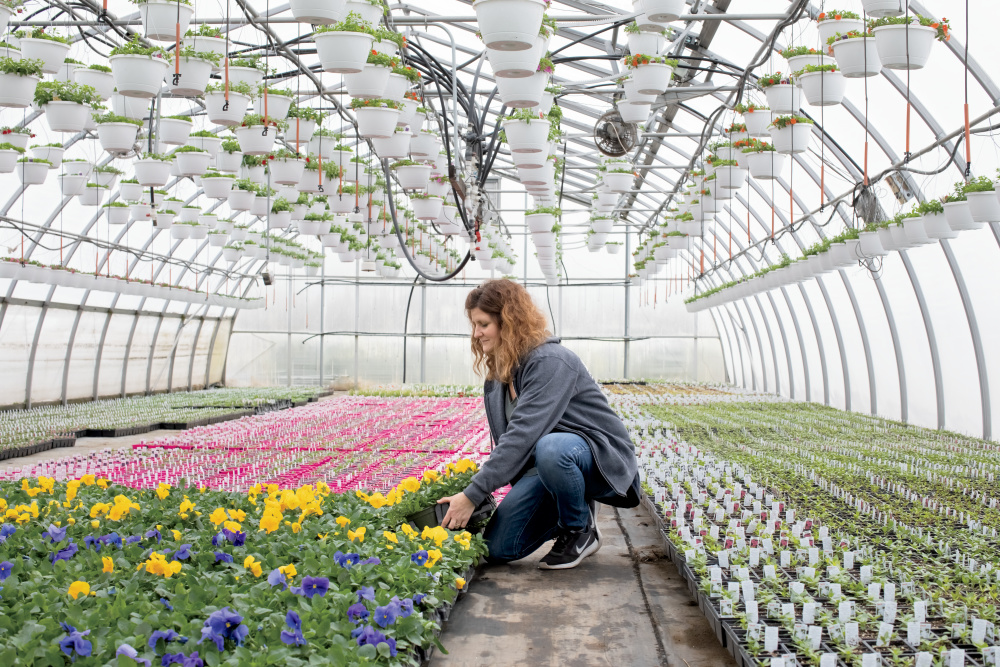 Smits Farms Greenhouse