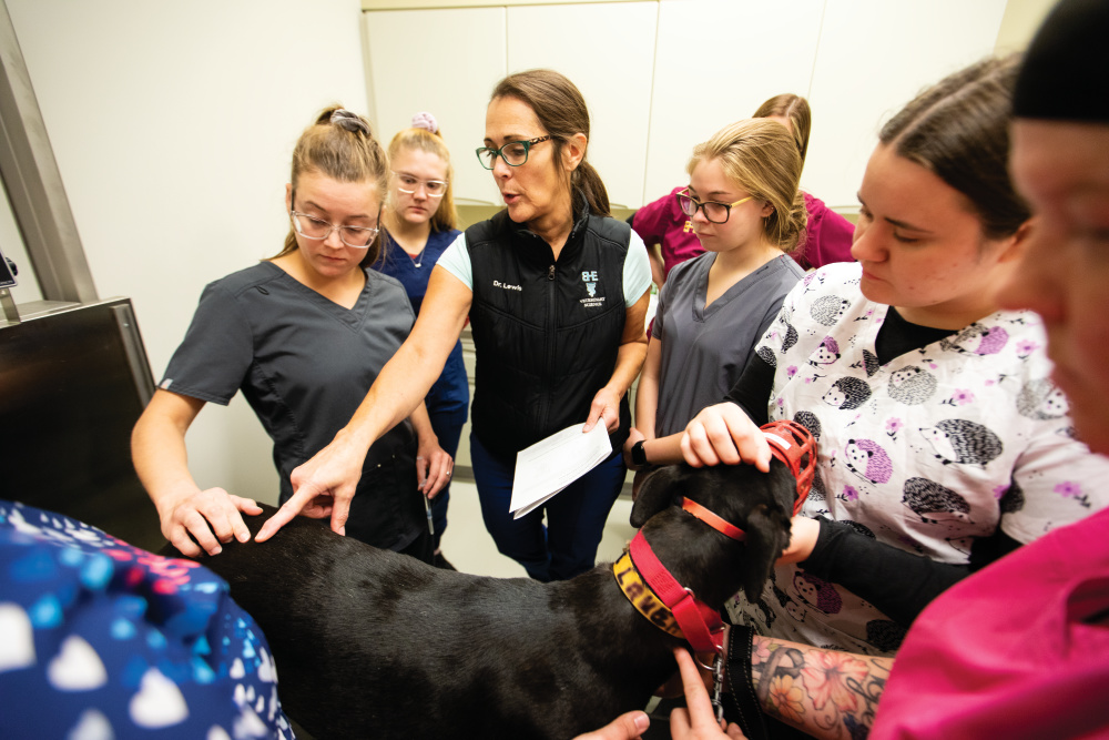Veterinarian at Black Hawk College working with a dog