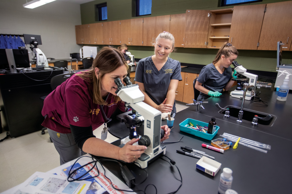 Veterinarian students looking at specimens through a microscope