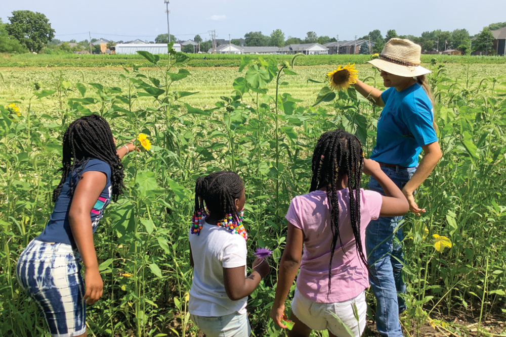 Kids looking at sunflowers at one of the Sola Gratia Farm outreach programs