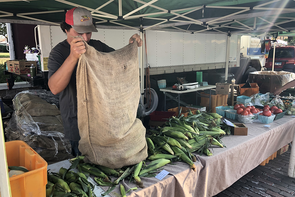 Quen Von Bergen with Von Bergen’s Country Market near Hebron unloads some of the first fresh sweet corn of the year from their farm at the Woodstock Farmers Market, a producers-only market in the northern Illinois town. 