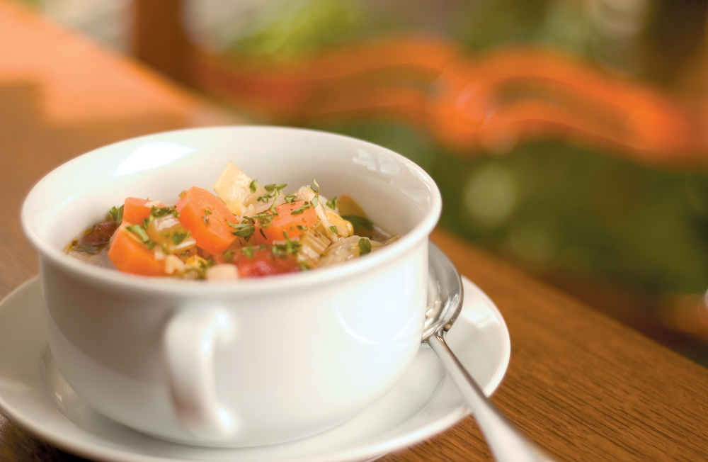 Garden Vegetable Soup