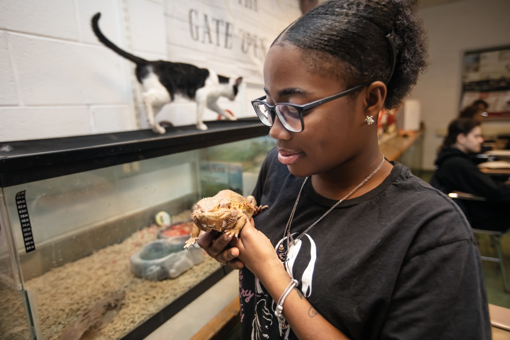 Ariah Washington cares for a bearded dragon lizard