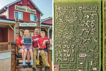 Jonamac Orchard family and corn maze