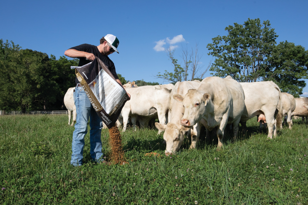 Sam Deisher feeding cattle