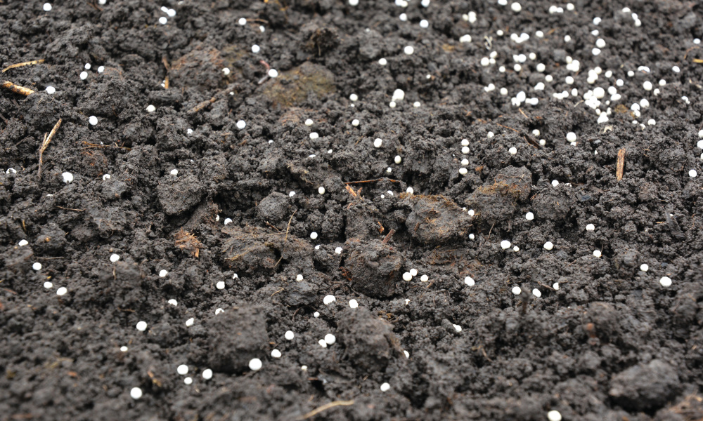 Fertilizer pellets in soil