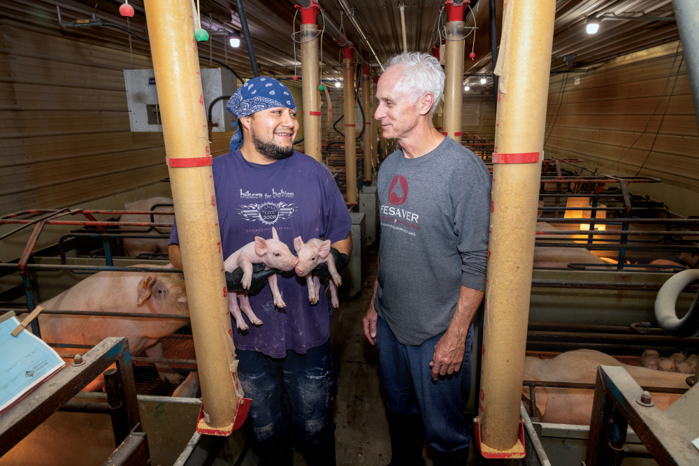 Marco Ramirez, one of the international farm workers, holding two piglets while talking with Pat Bane