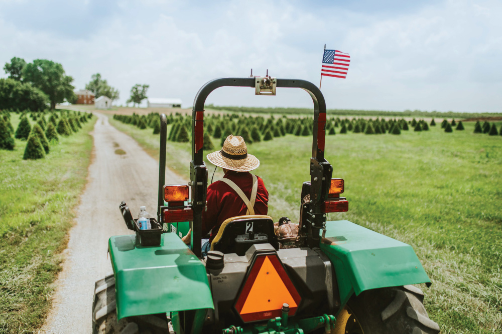 David Schutte driving a tractor through the Christmas tree area of the farm