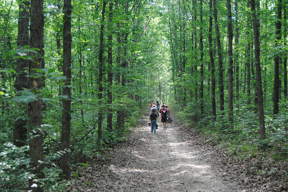 People walking through a forest