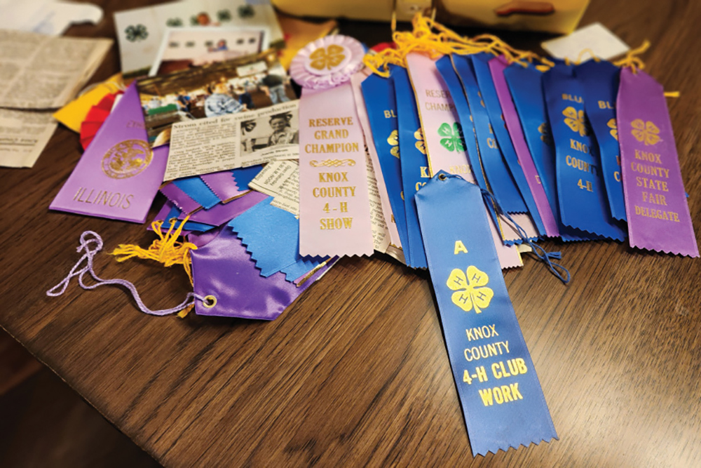 Ribbons and newspaper clippings from Joanie's 4-H years